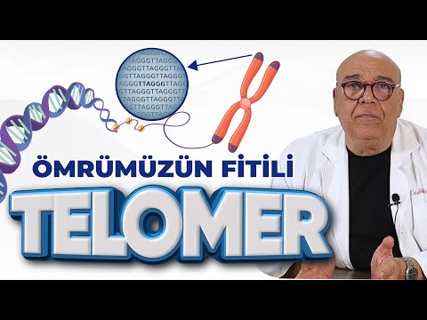 ÖMRÜMÜZÜN FİTİLİ: Telomerler / 5 Dakikada Sağlık