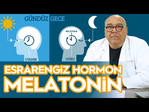 Uykunun 6 Faydası! MELATONİN NEDİR? / 5 Dakikada Sağlık