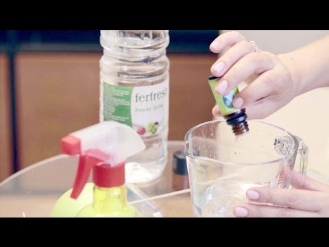 Evde Doğal Deterjan Nasıl Yapılır? | İrem Güzey