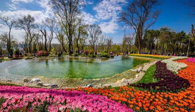 32 Yıldır Japon Turistlerini Büyüleyen Çağırkan Köyü: Tarih ve Kültürün Buluşma Noktası