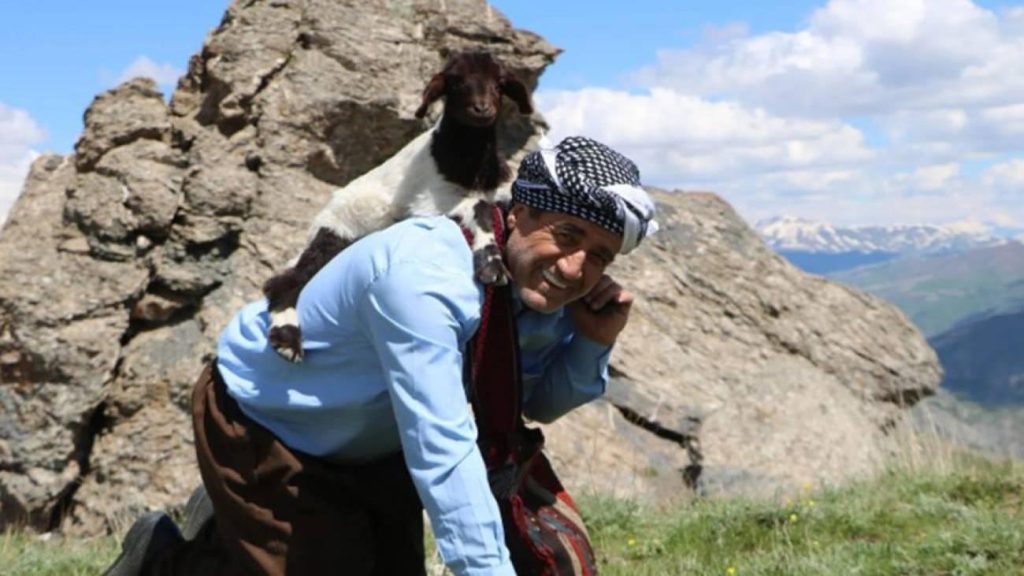 Aydın Aydın, Hakkari’de Kurban Bayramı Sırasında Yavru Keçi Kurtardı: Hantavirüs Tehlikesine Dikkat Çekti