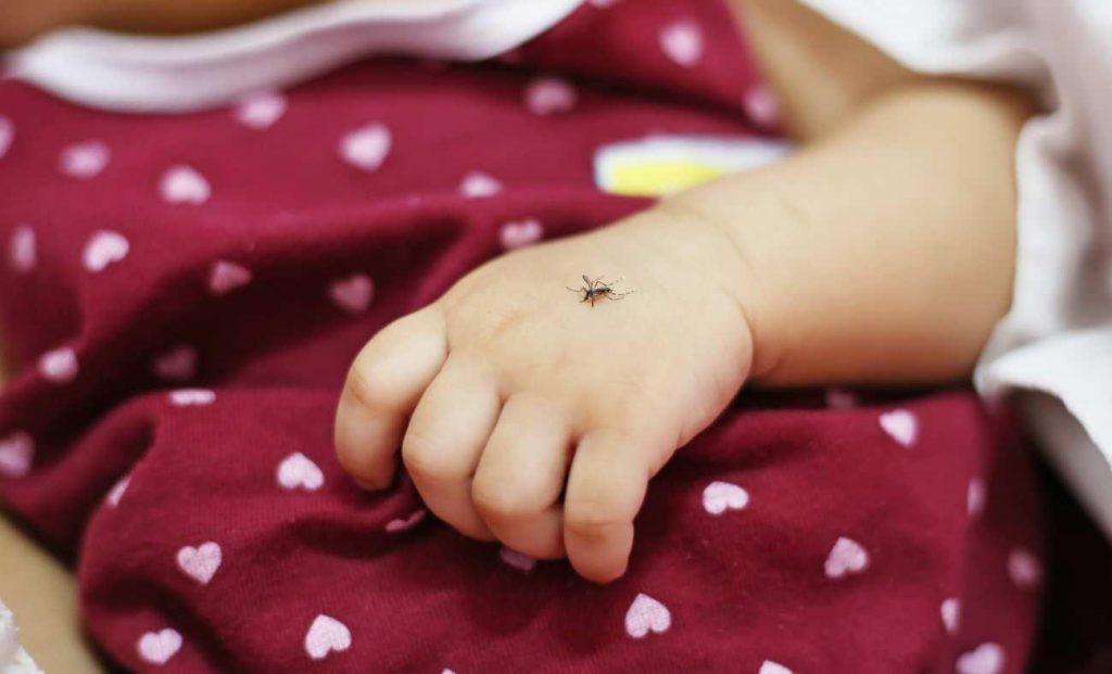 Bebeklere Sinek Kovucu Kullanımı: Güvenli Seçimler ve Doğru Uygulama Rehberi