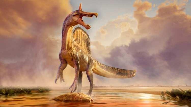 Brezilya’da 230 Milyon Yıllık Keşif: Dinozor Evrimine Dair Yeni Sürüngen Türü Ortaya Çıktı