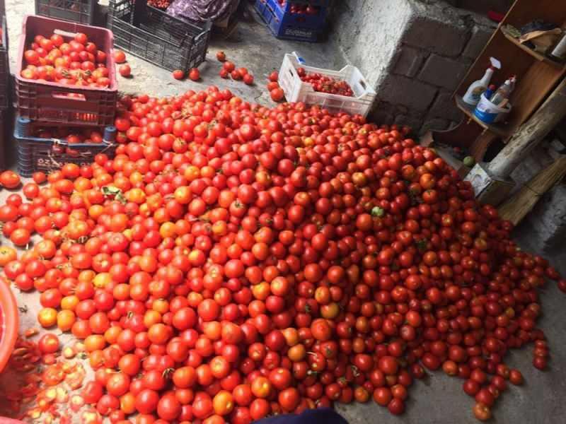 Canan Karatay: Ev Yapımı Salça Tarifi: Hem Domates Hem Biberden Mükemmel
