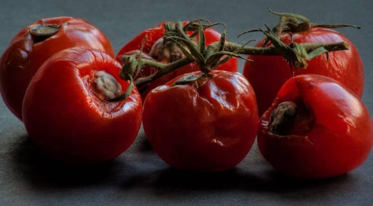 Çürümeye Yakın Domatesleri Çöpe Atmayın: Lezzetli ve Sağlıklı Kullanım Rehberi