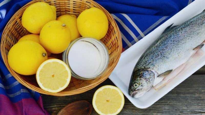 Evde Koku Yönetimi: Mekanınızı Mis gibi Kokutacak Doğal ve Profesyonel Aroma İpuçları