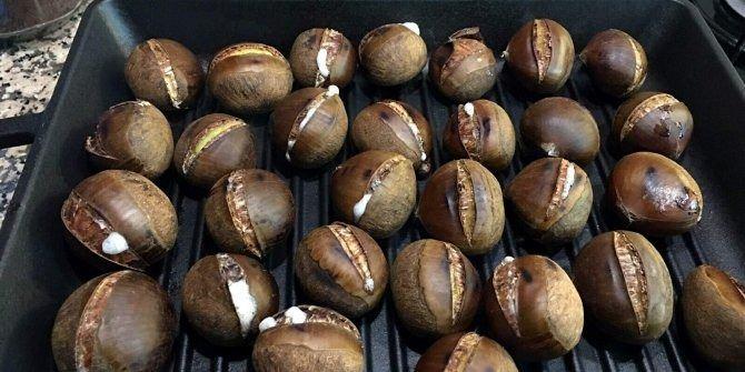 Gerçek Kestane Nasıl Anlaşılır? Çin Kestanelerine Dikkat ve Güvenli Tüketim Rehberi