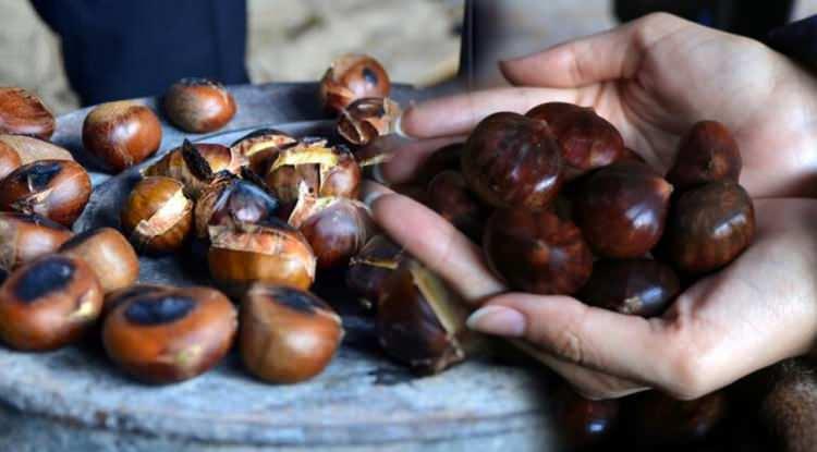 Gerçek Kestane Nasıl Anlaşılır? Çin Kestanelerine Dikkat ve Güvenli Tüketim Rehberi