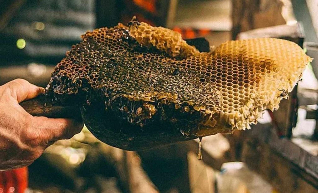 Guinness Rekorlarında Yer Alan Elf Balı: Artvin’in Mağara Sırrından Gelen Nadir Lezzet