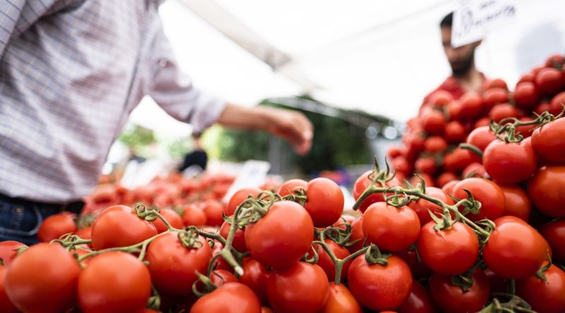TasteAtlas’ın Dünyanın En İyi Domatesleri Listesi: Ayaş Domatesi Türkiye’yi Gururlandırdı