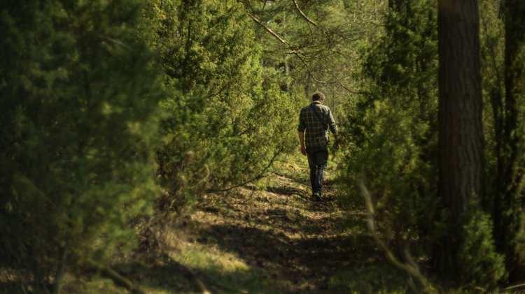 İtalya’da Eşiyle Tartışan Adamın Öfkesini Yönetme Yöntemi Gündem Oldu: Bir Hafta Boyunca Yürüdü