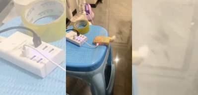 Komşusunun Gürültüsünden Bıktı! Şikayet Etmek Yerine Kurduğu Sistem Viral Oldu