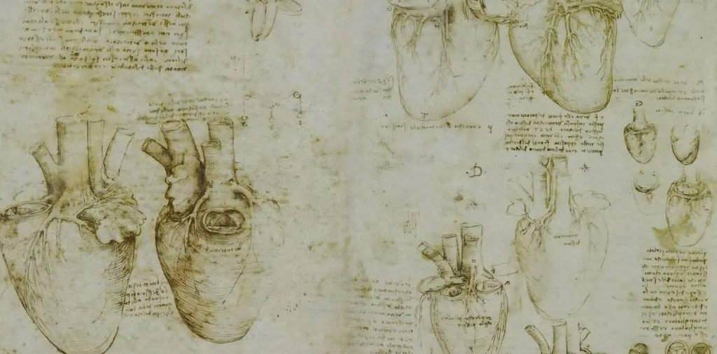 Leonardo Da Vinci'nin 500 Yıllık Gizemi: Kalp Trabeküllerinin Sırrı Bilimsel Olarak Çözüldü