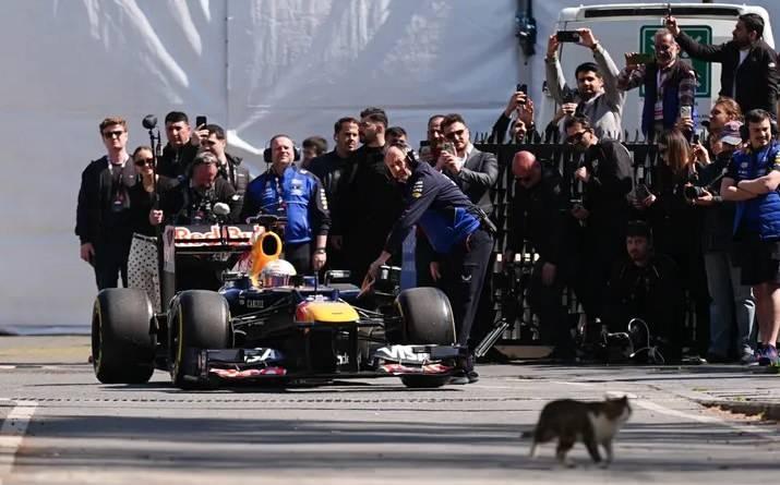 Yuki Tsunoda'dan İstanbul Çekimleri: Seti Durduran Sokak Kedisi ve Intercity İstanbul Park'ın F1 Dönüşü