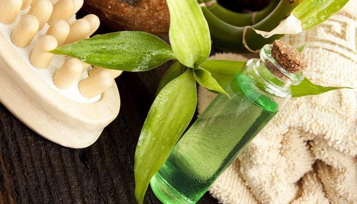 Çay Ağacı Yağı Nedir? Cilt ve Saç Bakımında Doğru Kullanım Yöntemleri